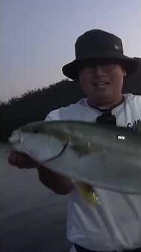 While I was doing ____, a yellowtail amberjack came on the top!! #shorts #fishingisgood #fishing ...