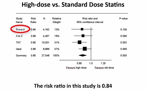 CMA介绍_Meta-Analysis Workshop