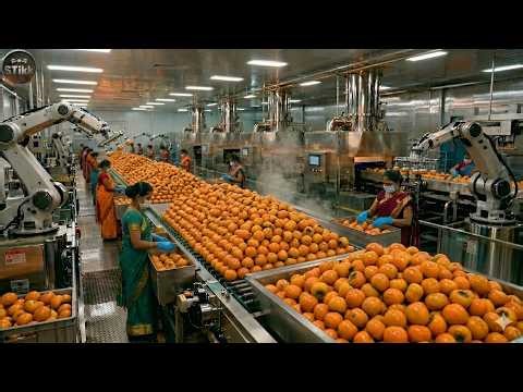 Inside the Persimmon Processing Factory |From Fresh Fruit to Premium Dried Persimmons (Full Process)