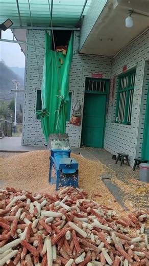 Gravity-Powered Corn Processing – A Brilliant Rural Idea!