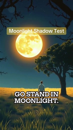 Step into moonlight, then into the Moon’s shadow and measure it. If the shadow reads warmer, what does that actually mean? moonlight experiment, moon shadow temperature, lunar light physics, infrared thermometer test Title: Moonlight Shadow Test Step into moonlight, then into the Moon’s shadow and measure it. If the shadow reads warmer, what does that actually mean? moonlight experiment, moon shadow temperature, lunar light physics, infrared thermometer test #forbiddenknowledge #moonlight #scien