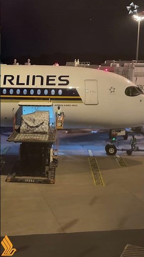 Airbus A350 Cargo Operations