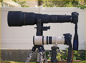 A Review of the Sigma 300-800mm f5.6 zoom lens