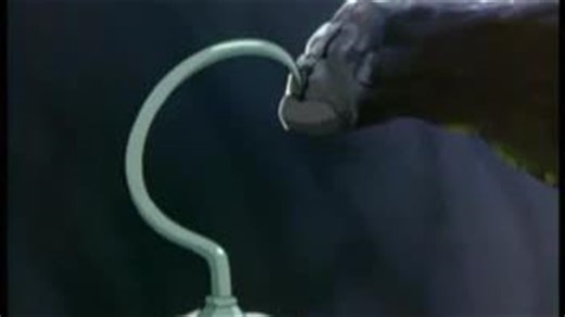 Magic English E08 Tick Tock Time