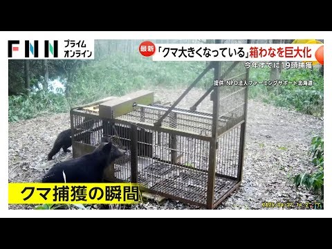 「クマ大きくなっている」巨大箱わなで捕獲の瞬間…25年前襲われ左目の視力失った狩猟歴55年のハンター 最終手段はハチミツ「知恵比べ」