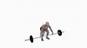 Barbell Snatch Powerlifting Fitness Exercise Workout Stock Footage Video (100% Royalty-free) 1100607105 | Shutterstock