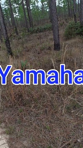 Yamaha Starting Issues #yz250fx