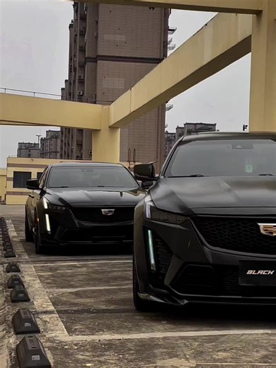 Exploring Stunning Cadillac Car Collections