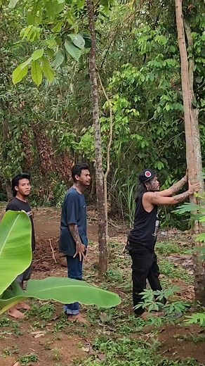 3.4M views · 10K reactions | Ko bisa cepat manjatnya | Dede JamanNow | Facebook