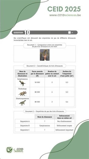 CE1D 2025 - Question 10