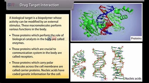 CLASS 12 CHEMISTRY CHEMISTRY IN EVERYDAY LIFE