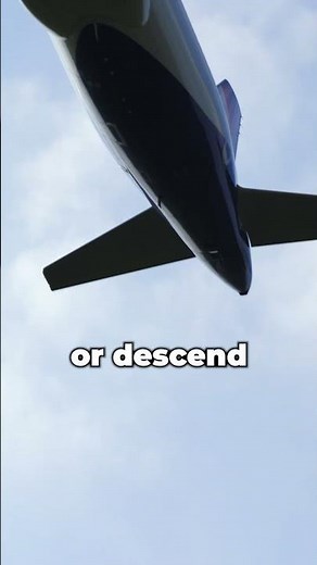 Unveiling the Purpose of an Elevator on Airplanes! #education #science