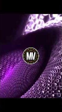 A Trippy Music Visualization