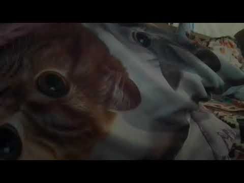 Taras Park: chapter 2