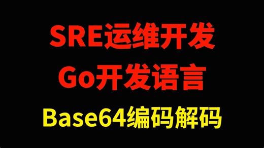 63.运维GO开发--Base64编码解码