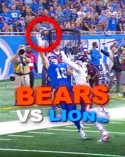 BEARS vs LIONS Game Highlights 2025🔥
