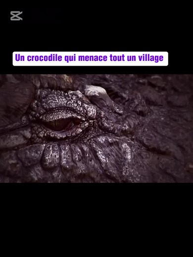 Crocodiles Threatening Villages in Madagascar Part 2