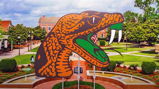 Florida A&M lead drum major becomes member of Delta Sigma Theta