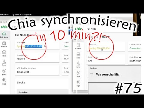 #75 Chia Full Node schnell synchronisieren unter Ubuntu und Windows