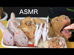 ASMR Pit Bull Eating RAW Chicken &Duck Head & Quail Eggs.MUKBANG &EATING SOUND.