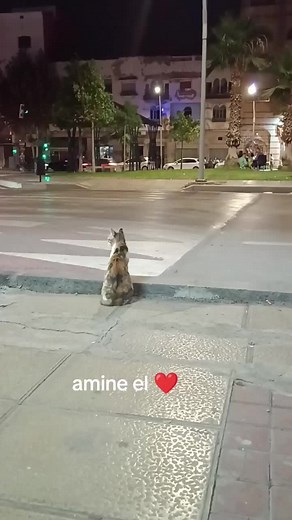 Exploring Azghanghan Culture Through Amazigh Girl Perspectives