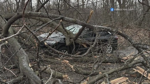 Thousands still without power after strong winds hit northeast Ohio: See the latest