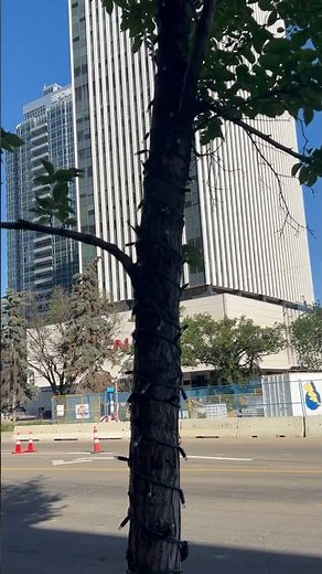 Royal Alberta Museum #edmonton