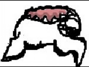 [JJS SKILL BUILDER] Shadow Dio Custom Moveset TUTORIAL