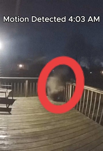 Unexplained Doorbell Camera Motion Alert at 4:13 AM