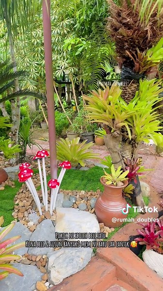 Bromeliad Cantik: Susun Banyak untuk Hasil Terbaik