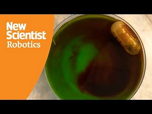 Robotic pill that delivers drugs to gut could end insulin injections