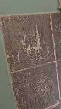 How to remove paint from tiles.