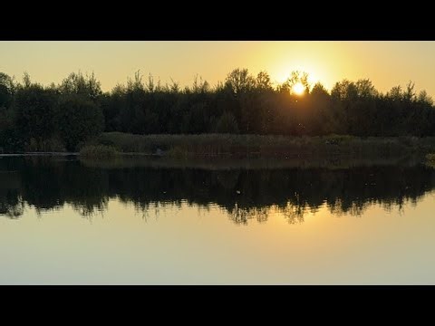 Рыбалка СПб Кудрово карась ASRM