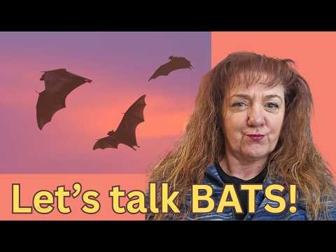 Bats are the mosquito eradication power house!