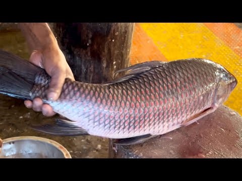 Amazing Fish Cutting Skills | Big Rohu Fish Cutting In Fish Market
