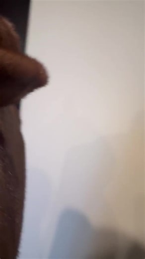 Vintage Mink Sable Fur Coat, NAFA Grade, Full Length With Belt - Etsy