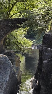 66K views · 2.7K reactions | Happy Spring Equinox! Scotland will soon...