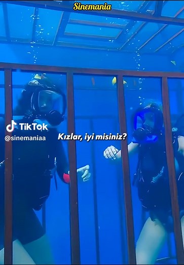 Exploring 47 Meters Down: A Thrilling Film Review