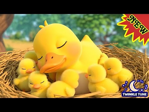 Daisy the Duck 🦆 | Fun Kids Song & Educational Nursery Rhyme | TwinkleTune
