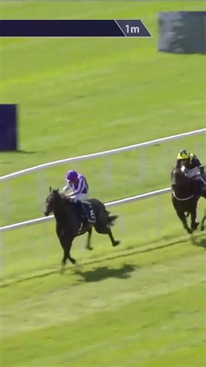 Gstaad wins the Irish 2,000 Guineas 🏆