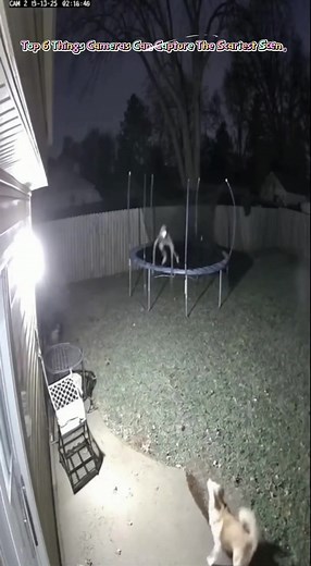 Omg 😱 Top 6 Things Cameras Can Capture The Scariest Scenes ! #viral #pyt