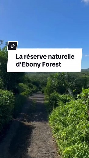 Aujourd'hui, je te présente @Ebony Forest, une réserve naturelle nichée au coeur de la vallée de Chamarel. Cette équipe de passionnés et amoureux de nature oeuvre depuis 2017 pour restaurer, protéger et conserver la flore et la faune endémiques. Leur but ? Sauver les espèces menacées à l'île Maurice, éduquer et sensibiliser à la biodiversité. Vous apprendrez plein de choses sur la faune et la flore endémique de Maurice et les actions qu'ils mènent pour faire revivre ces dernières. Beaucoup de pl