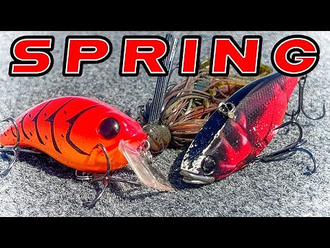 Where Do Bass Go In Spring?! (And The Best Baits To Catch Them)