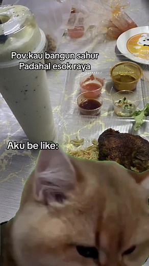 Ramadhan Meme Compilation | Hilarious Cat Memes
