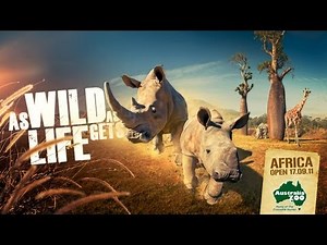Africa NOW OPEN at Australia Zoo