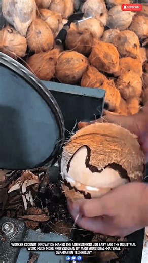 Worker Coconut Innovation Makes Processing Job Easy Work