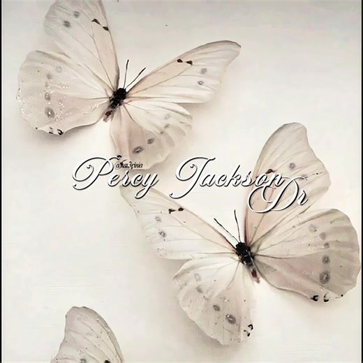 Percy Jackson: Continued Themes Explored