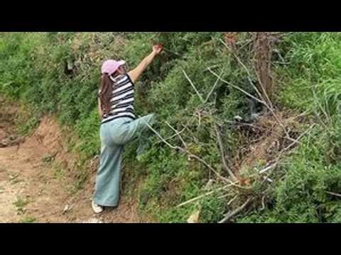你琼姐超爱的普罗旺斯番茄，草莓心➕沙瓤，口感沙沙的，又甜又多汁哟#优质农产品原产地 #沙瓤西红柿