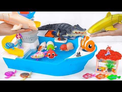 [Toy asmr] Crocodile & RC Shark & Dolphin & Zuru Robo Alive Aquarium ASMR Satisfying with Unboxing