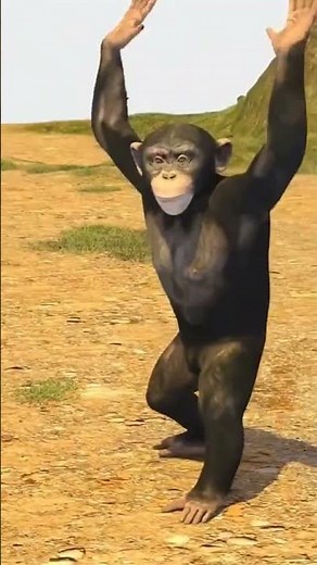 "the monkey dance!" 🐵🍌 /// danny go! brain break songs for kids 😂🤣